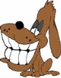 Scoop da Poop